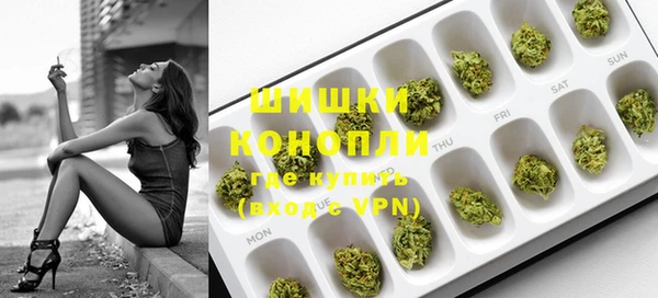 сатива Мурманск