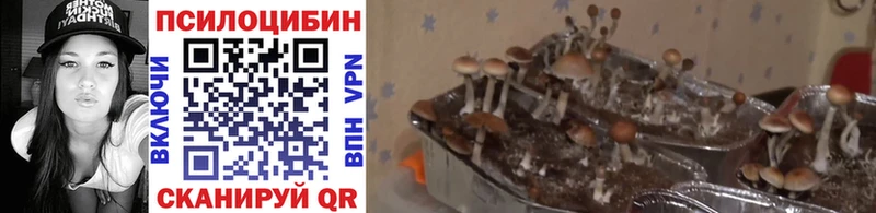 Галлюциногенные грибы ЛСД Комсомольск-на-Амуре