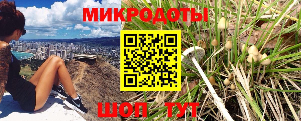 Галлюциногенные грибы Magic Shrooms Комсомольск-на-Амуре