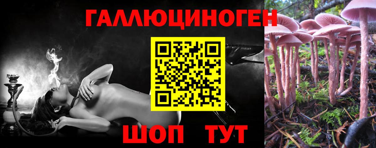 Комсомольск-на-Амуре  Галлюциногенные грибы ЛСД  Вход с VPN  Галлюциногенные грибы Cubensis 