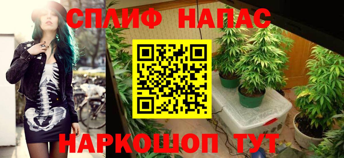 Конопля гибрид  Канабис Bruce Banner  Комсомольск-на-Амуре  Вход с VPN  Конопля THC 21% 